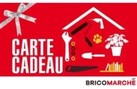 Bricomarche France Gift Card