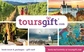 ToursGIft South Korea Gift Card